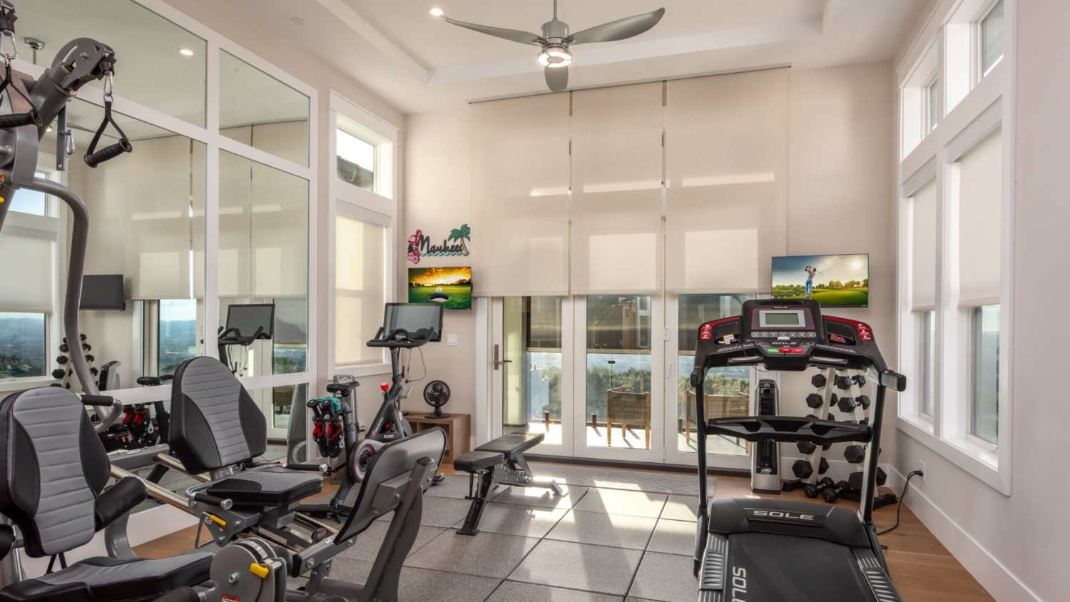 A home gym in a luxury home with motorized shades for the windows.